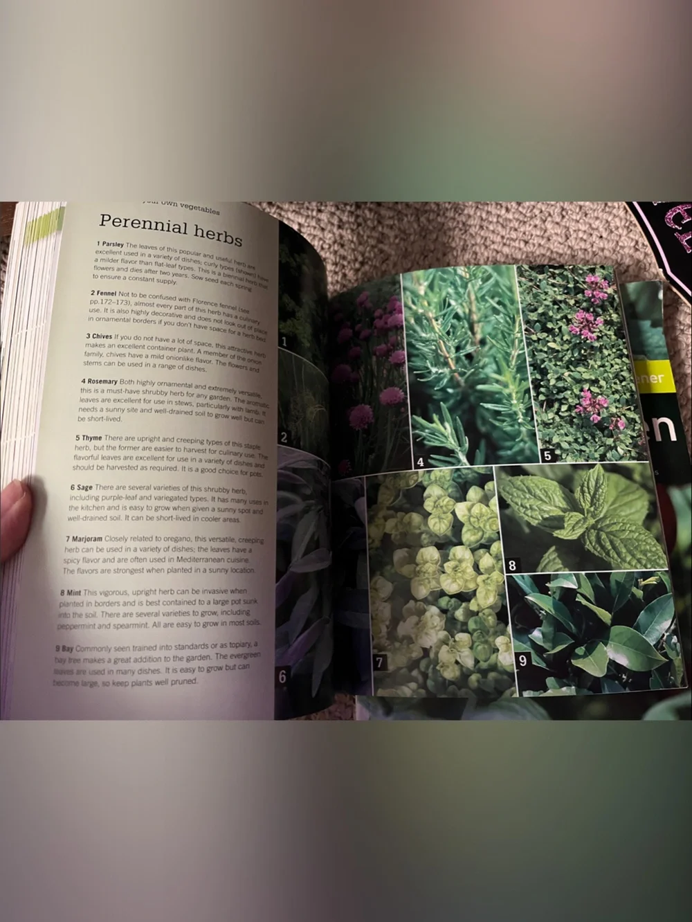 Small Plot Big Harvest & Kitchen Garden, Gardening Guide Books